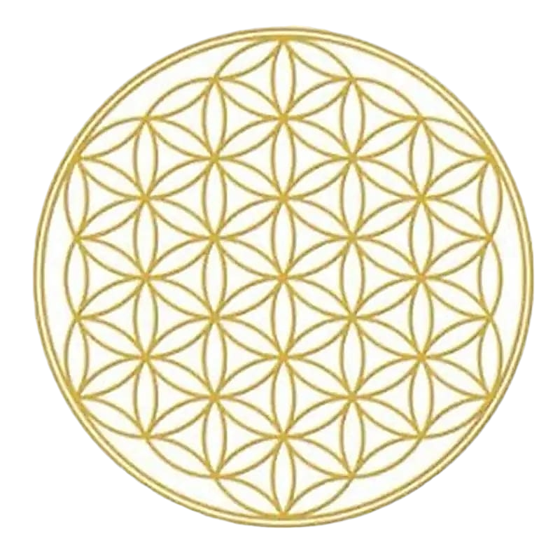 Adhésif pour Fenêtre – Fleur de Vie Dorée - Bonheur de Lune